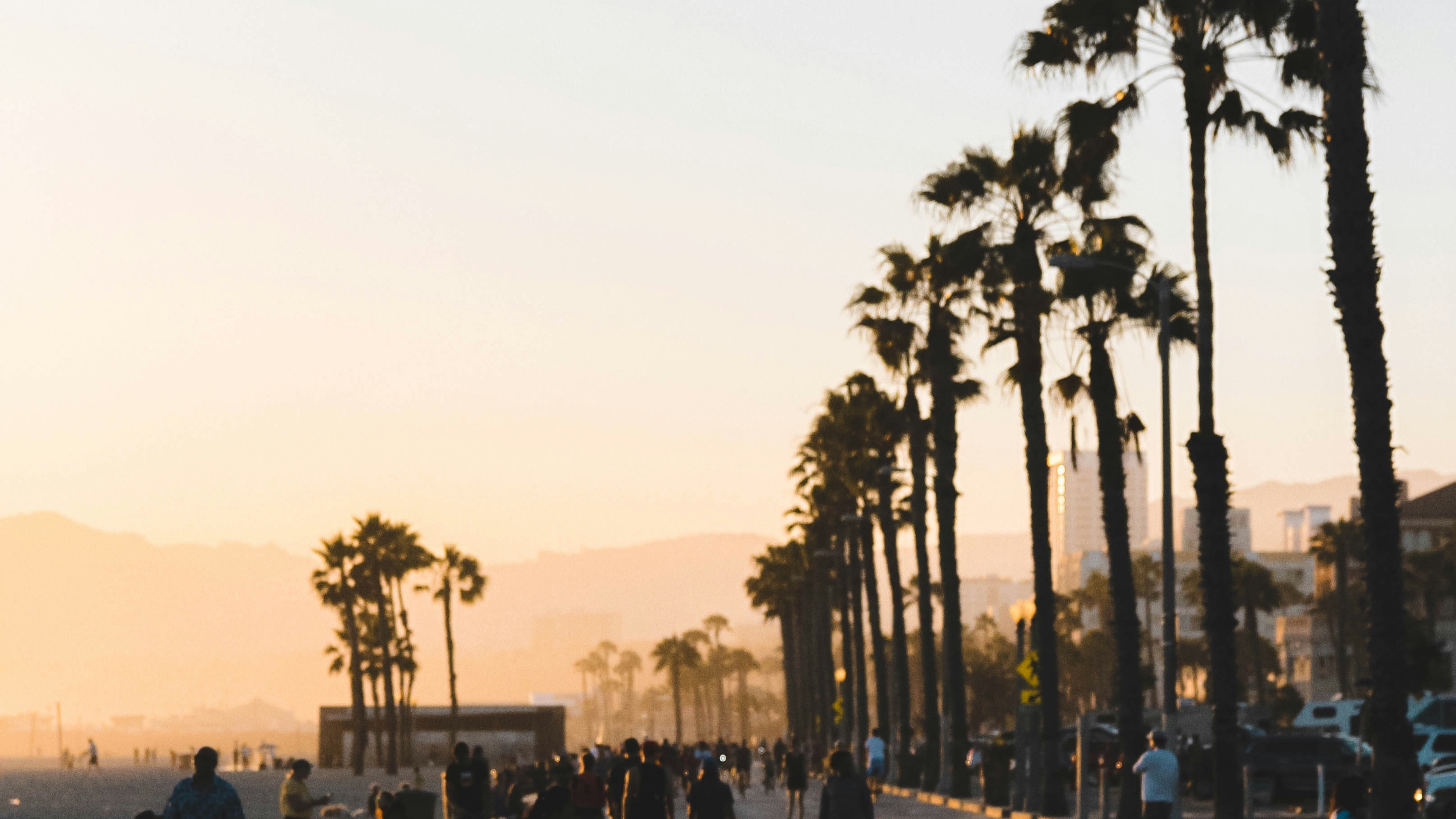 Medical sales careers at a regenerative biologics company